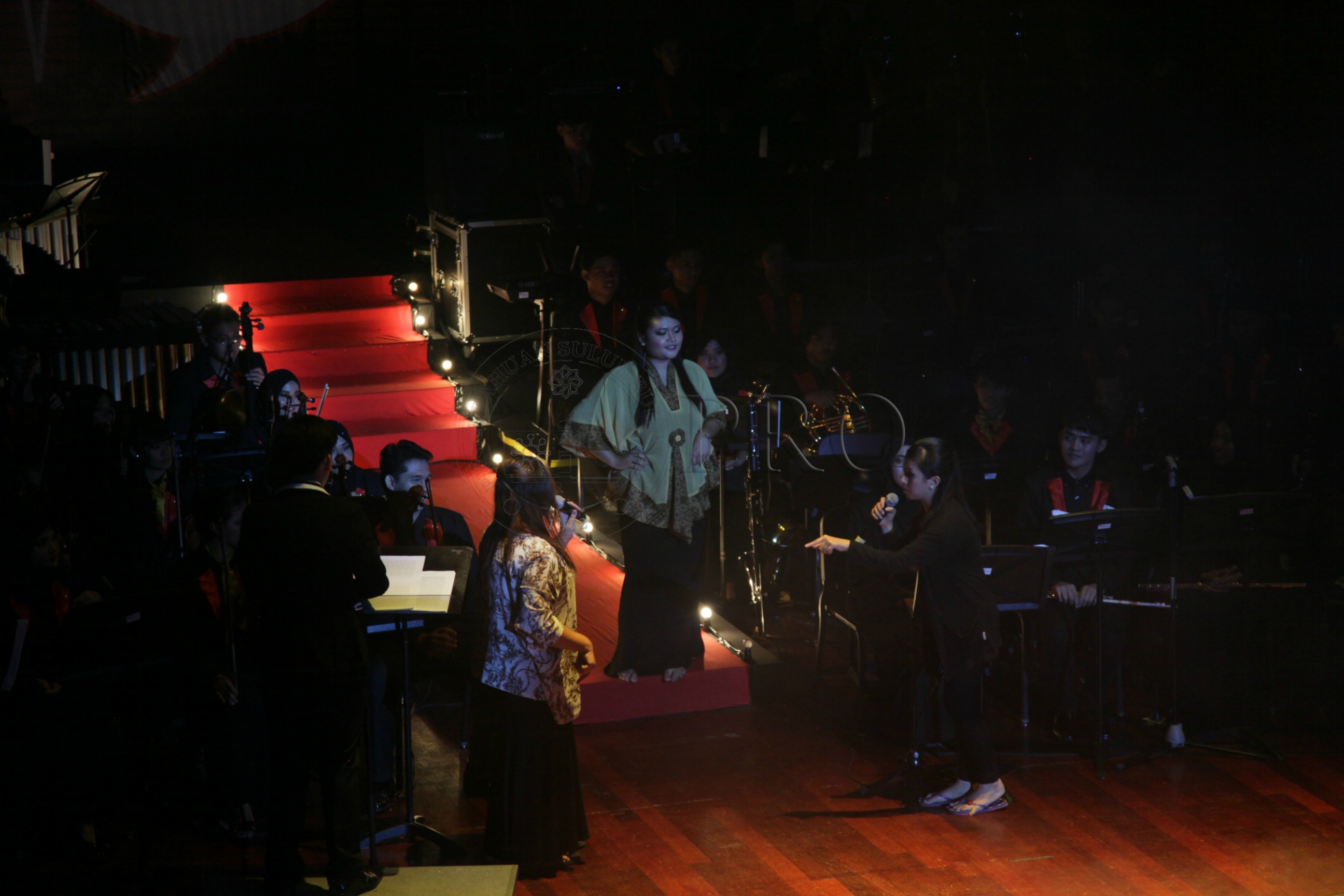 PRO 14 29 RARE IMG 0597